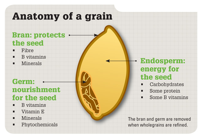 Whole Grains - Detail Image