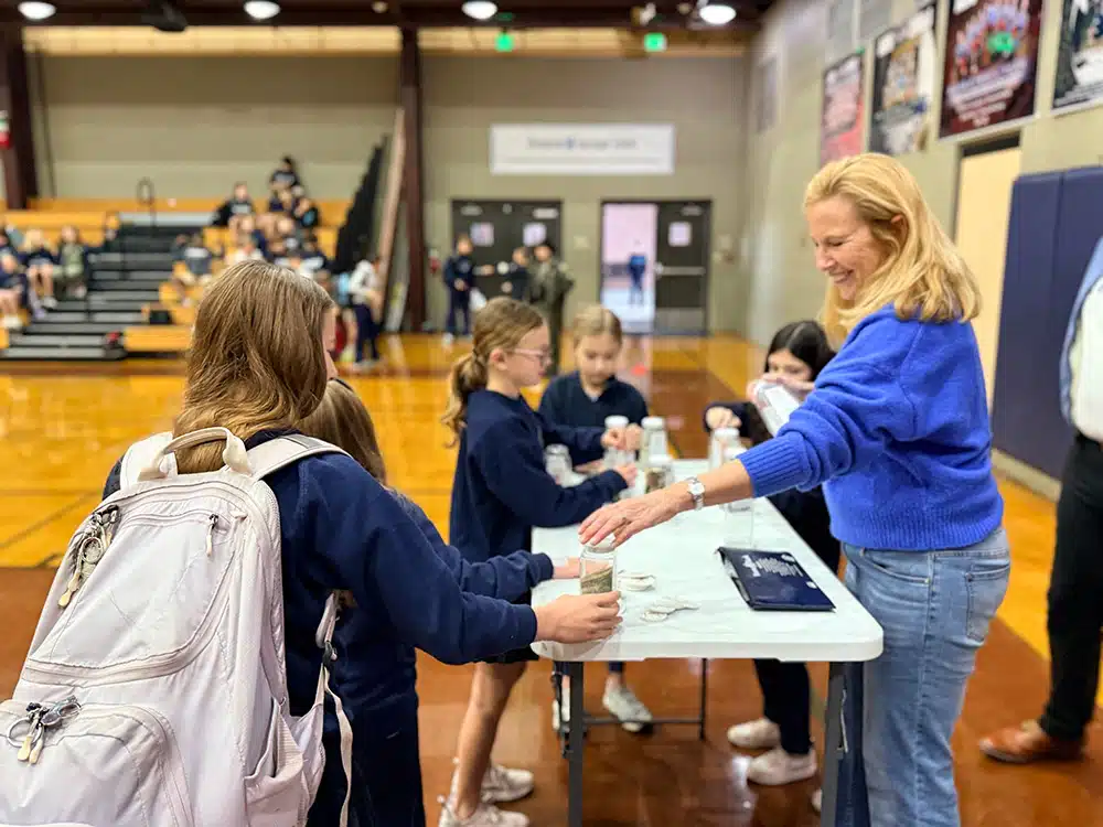 school participation